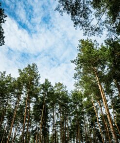 Outdoor plan set 360